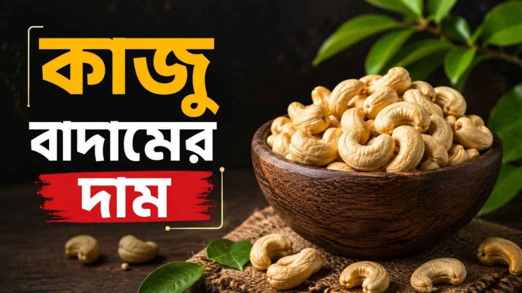 কাজু বাদামের দাম